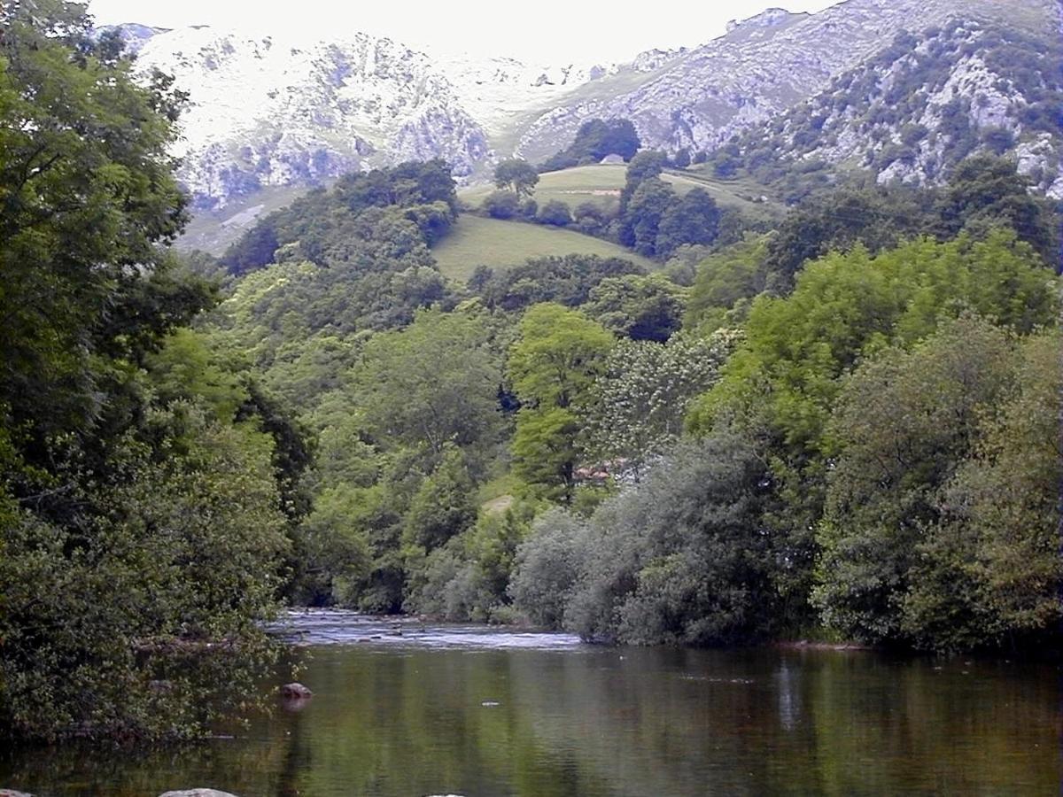 Apto Valle Encantado, Piscina Y Vistas, Tu Escapada Perfecta Gibaja Exteriér fotografie
